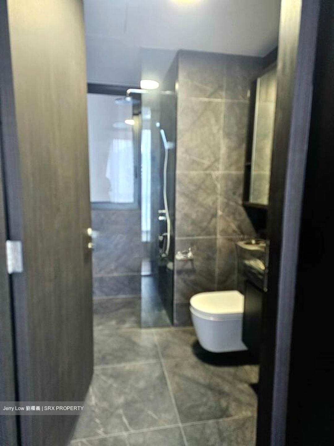 Hyll On Holland (D10), Condominium #518514451